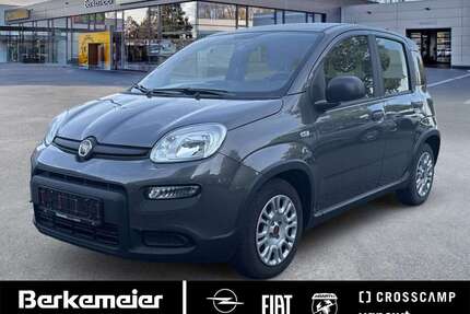 Fiat Panda Gebrauchtwagen