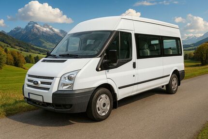 Ford Transit Gebrauchtwagen