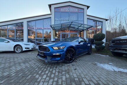 Ford Mustang 5,0 GT Gebrauchtwagen