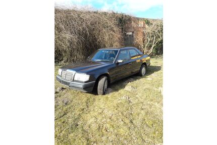 Mercedes-Benz 230 Gebrauchtwagen