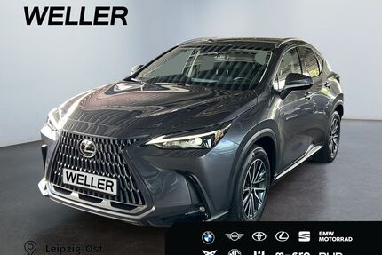 Lexus NX 450h Gebrauchtwagen