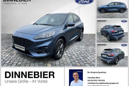 Ford Kuga Gebrauchtwagen