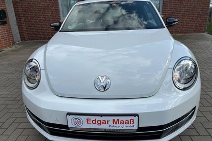 VW Beetle Gebrauchtwagen