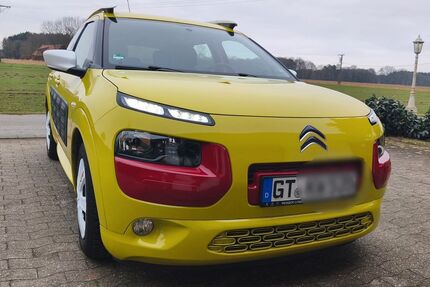 VW C4 Cactus 