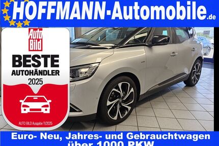 Renault Scenic Gebrauchtwagen