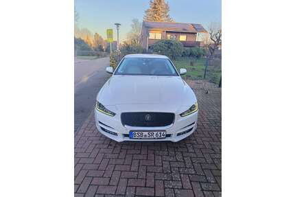 Jaguar XE Gebrauchtwagen