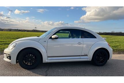 VW Beetle Gebrauchtwagen
