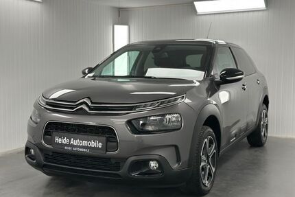 Citroen C4 Cactus Gebrauchtwagen