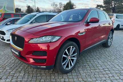 Jaguar F-Pace Gebrauchtwagen