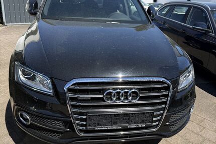 Audi Q5 Gebrauchtwagen