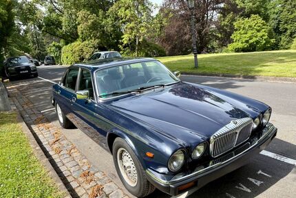 Jaguar Daimler Gebrauchtwagen