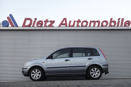 Ford Fusion Gebrauchtwagen