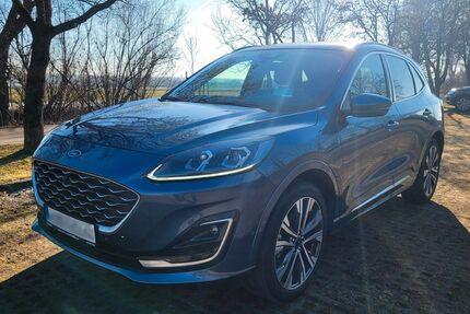 Ford Kuga Gebrauchtwagen