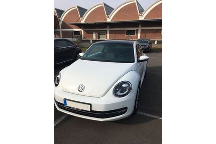 VW Beetle Gebrauchtwagen