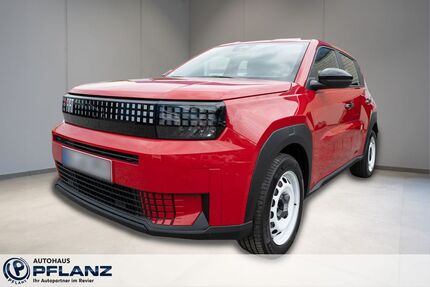 Fiat Grande Panda Gebrauchtwagen