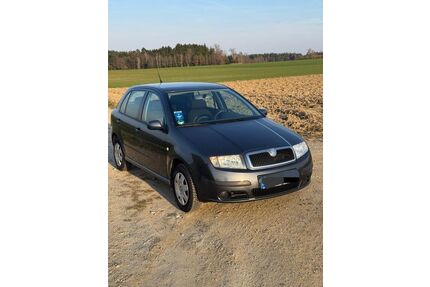 Skoda Fabia Gebrauchtwagen