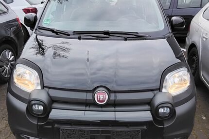 Fiat Panda Gebrauchtwagen