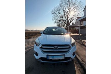 Ford Kuga Gebrauchtwagen