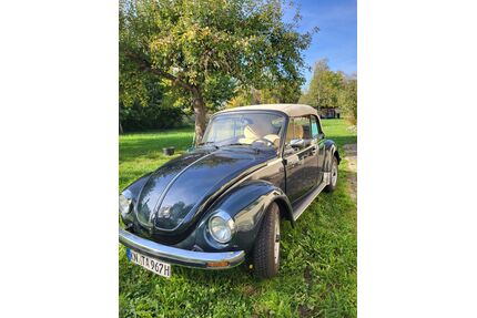 VW Käfer Gebrauchtwagen