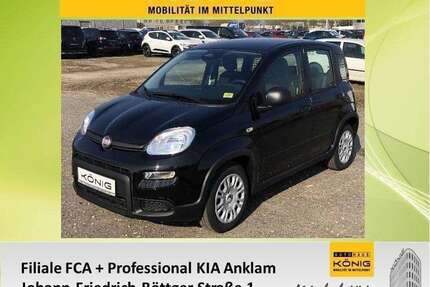 Fiat Panda Gebrauchtwagen