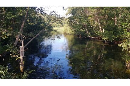 VW Sharan Gebrauchtwagen