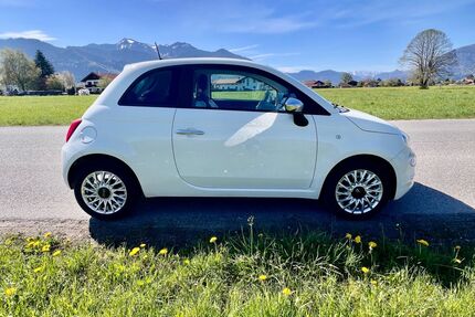 Fiat 500 Gebrauchtwagen