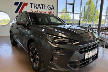 Cupra Terramar Gebrauchtwagen