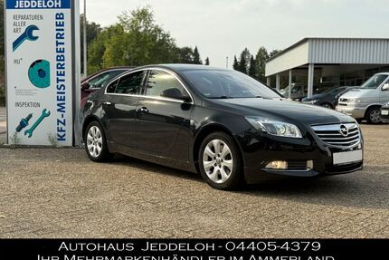 Opel Insignia Gebrauchtwagen