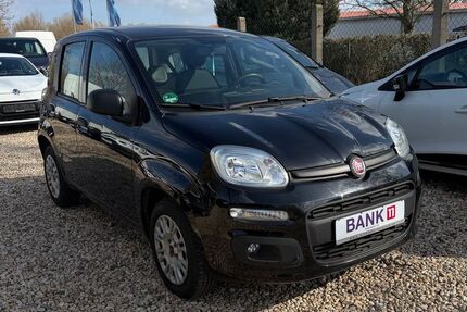 Fiat Panda Gebrauchtwagen