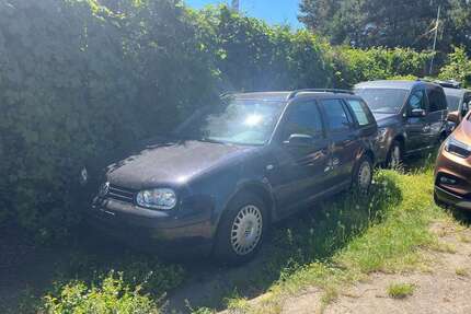 VW Golf Variant Gebrauchtwagen