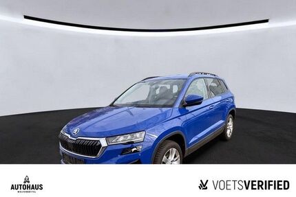 Skoda Karoq Gebrauchtwagen