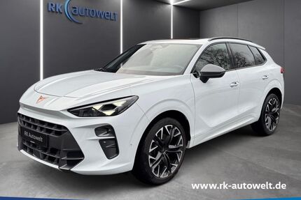 Cupra Terramar Gebrauchtwagen