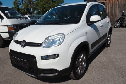 Fiat Panda Gebrauchtwagen