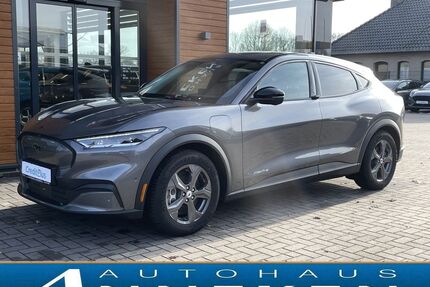 Ford Mustang Mach-E Gebrauchtwagen