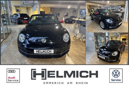 VW Beetle Gebrauchtwagen