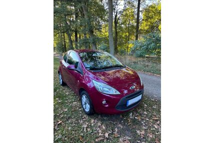Ford Ka/Ka+ Gebrauchtwagen