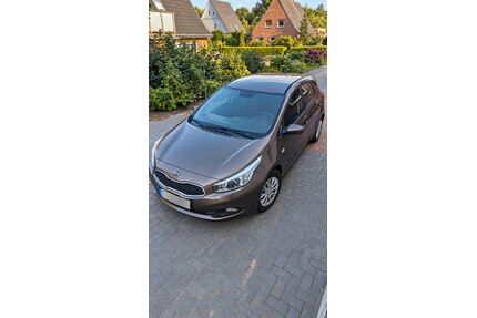 Kia ceed / Ceed Gebrauchtwagen