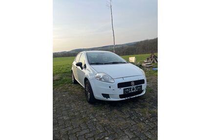 Fiat Punto Evo Gebrauchtwagen