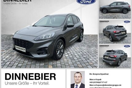 Ford Kuga Gebrauchtwagen