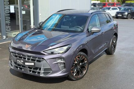 Cupra Terramar Gebrauchtwagen