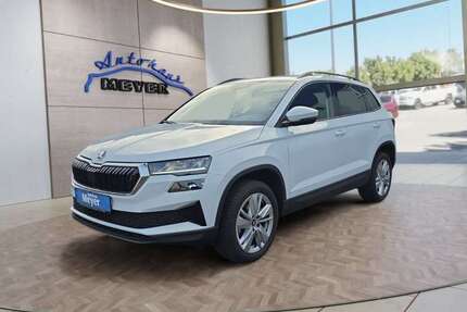 Skoda Karoq Gebrauchtwagen