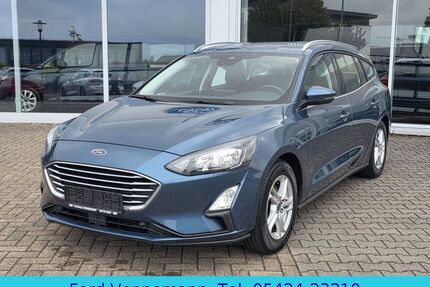 Ford Focus Gebrauchtwagen