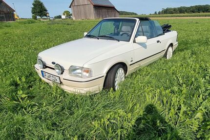 Ford Escort Gebrauchtwagen