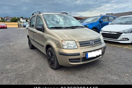 Fiat Panda Gebrauchtwagen