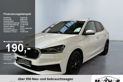 Skoda Fabia Gebrauchtwagen