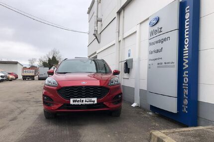Ford Kuga Gebrauchtwagen