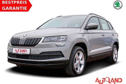 Skoda Karoq Gebrauchtwagen