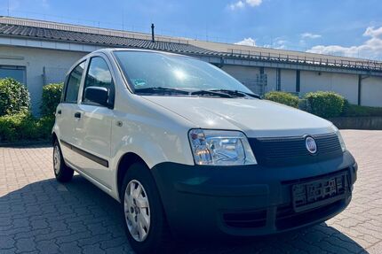 Fiat Panda Gebrauchtwagen
