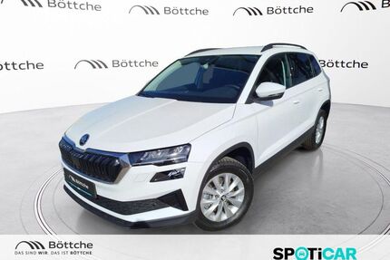 Skoda Karoq Gebrauchtwagen