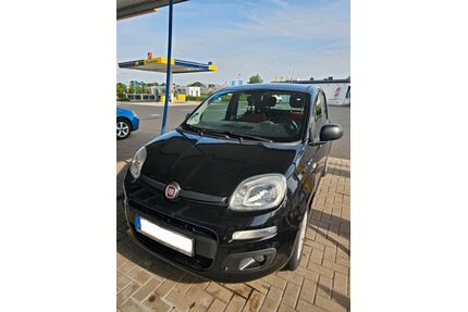Fiat Andere Gebrauchtwagen